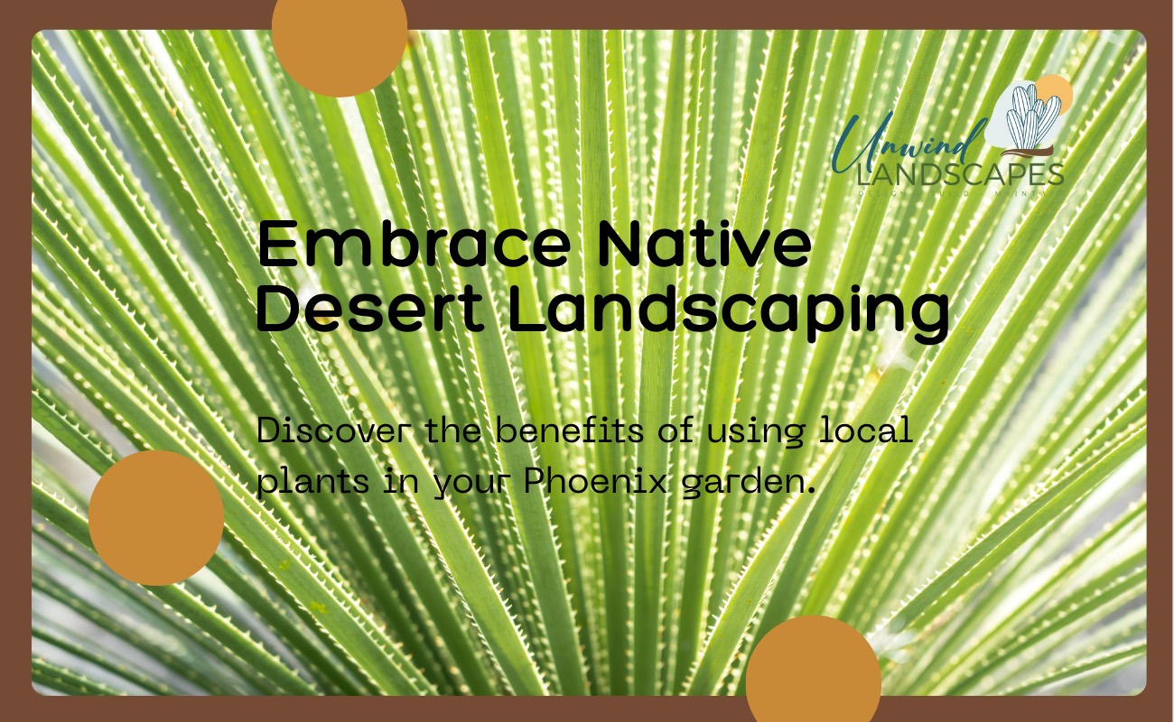 Top Native Plants That Thrive in Phoenix