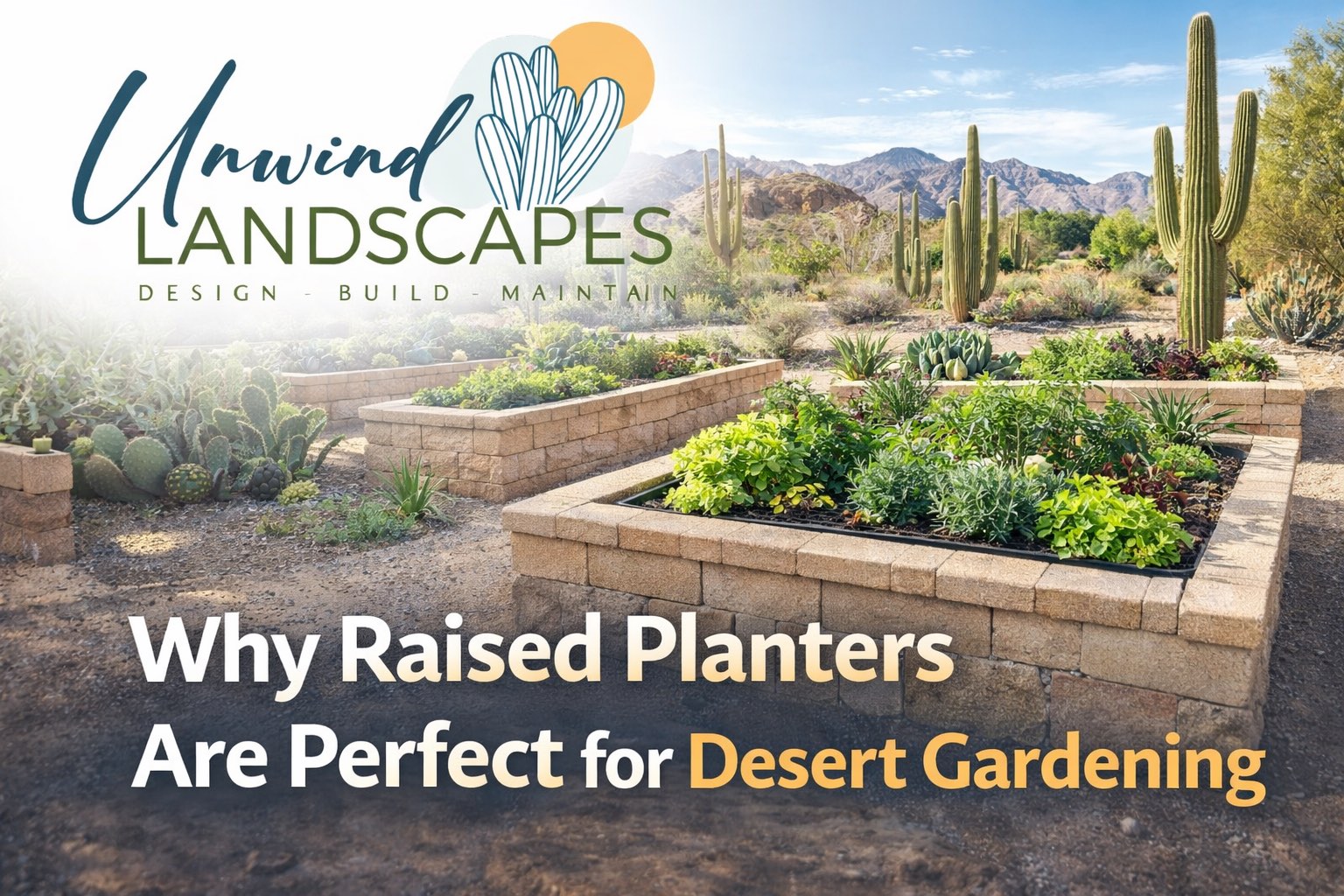 Why Raised Planters Are Perfect for Desert Gardening