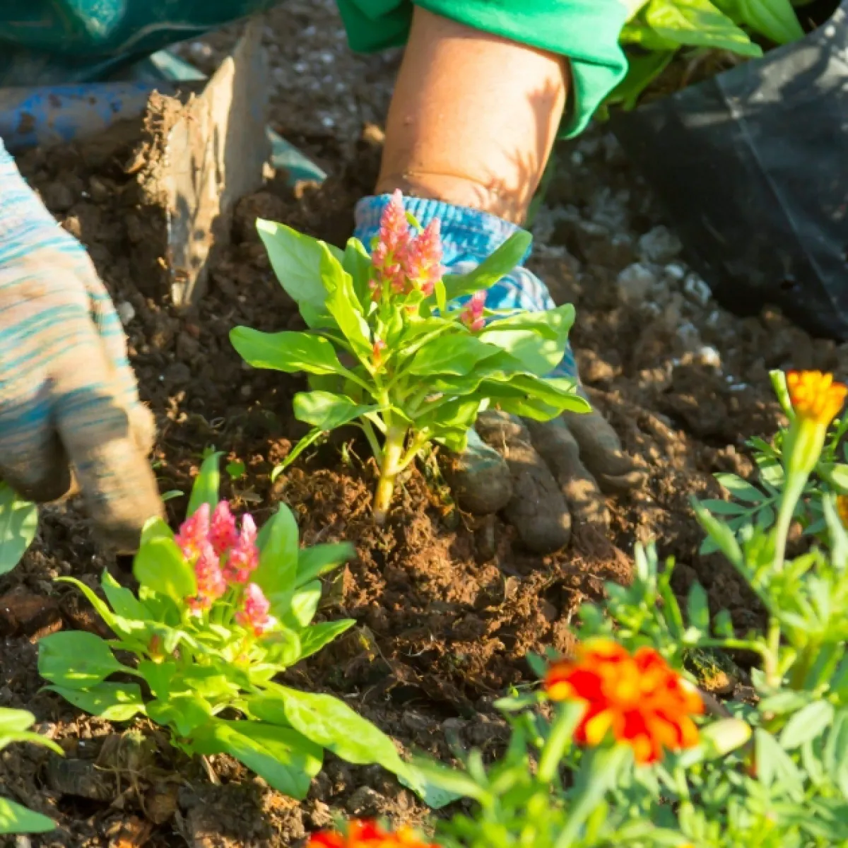 Tending vs. Watering: Shifting from Restorative Doing to Being | Restorative Pathways
