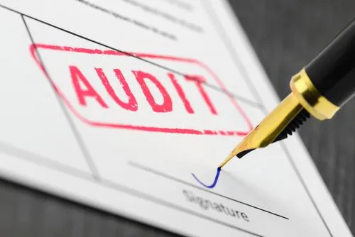 "Streamline business with a comprehensive systems audit"