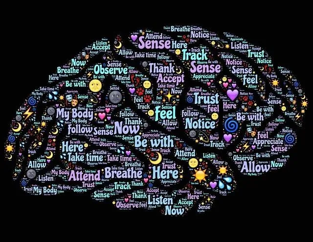 brain