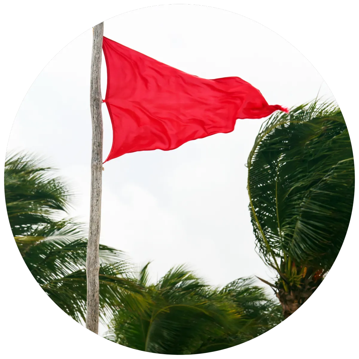red flag domestic violence