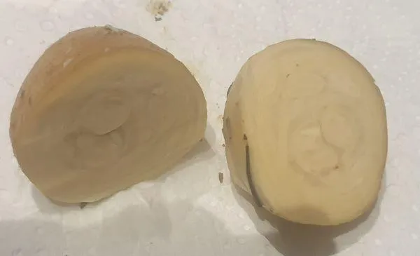 Lash egg cut in half
