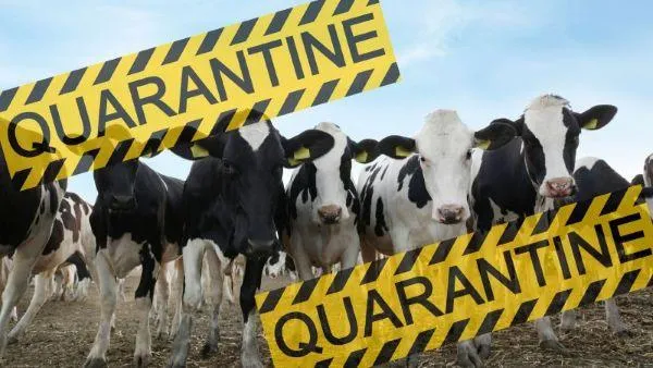 Quarantining New Animals - What, When, and How