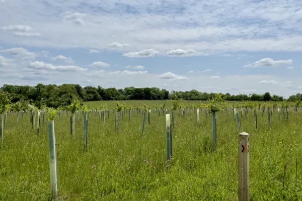 What lifestyle farmers need to know about retiring land into the ETS