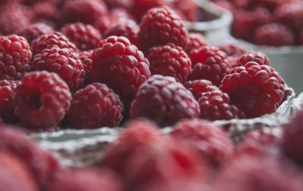 Your Backyard Fruit Bowl – Raspberries