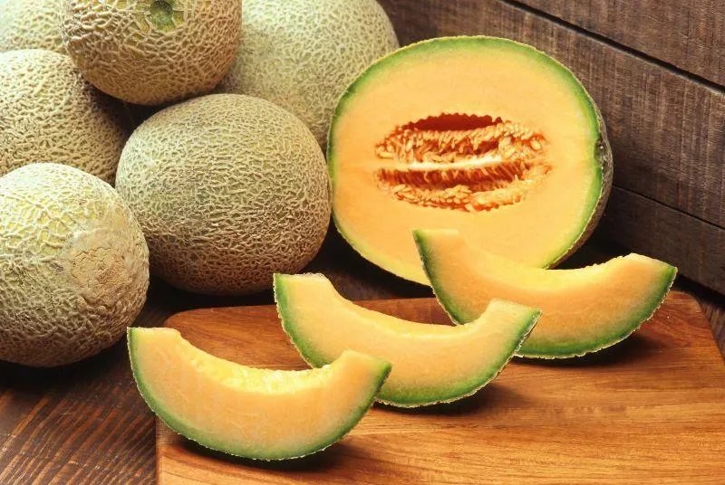 Your Backyard Fruit Bowl — Melons