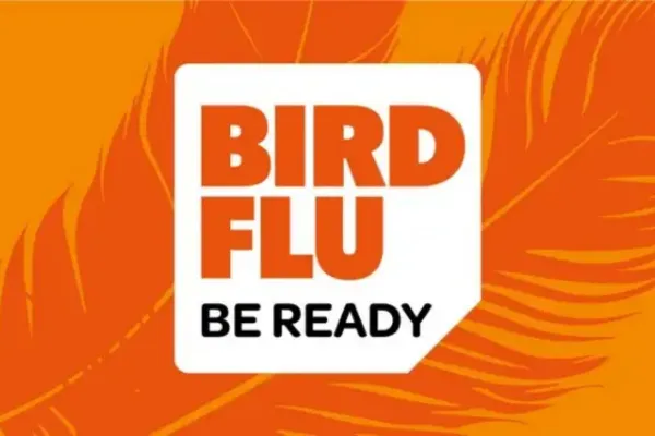Be ready for bird flu