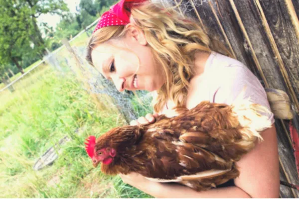 How to care for the unwell hen at home