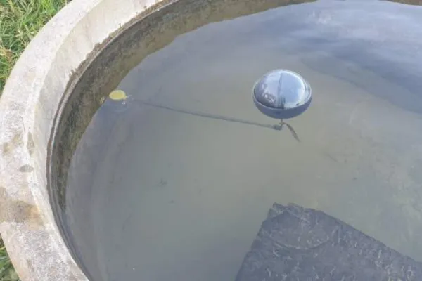 Trough Hygiene - Stock need clean water!