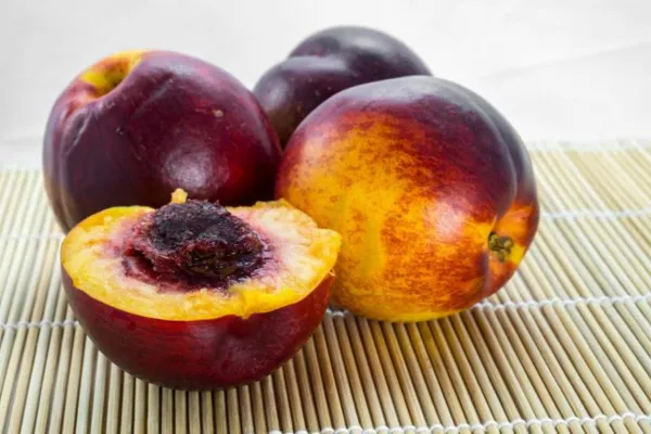 Your Backyard Fruit Bowl – Nectarines