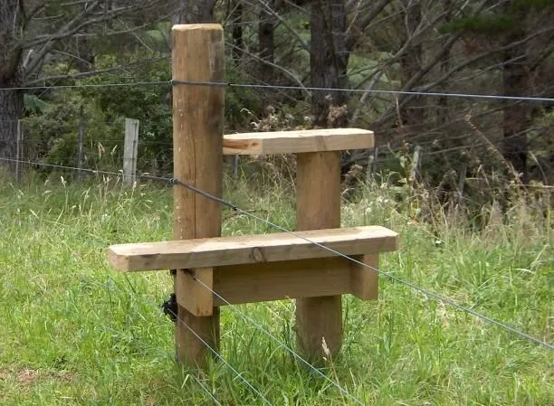 Crossing a fence without a gate