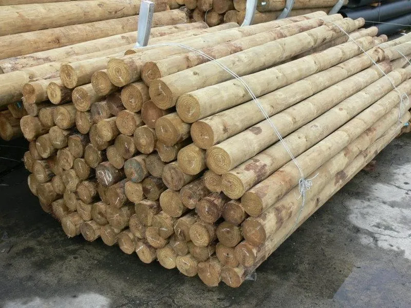 Standard Fencing Measures