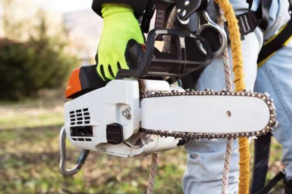 Buying the right chainsaw
