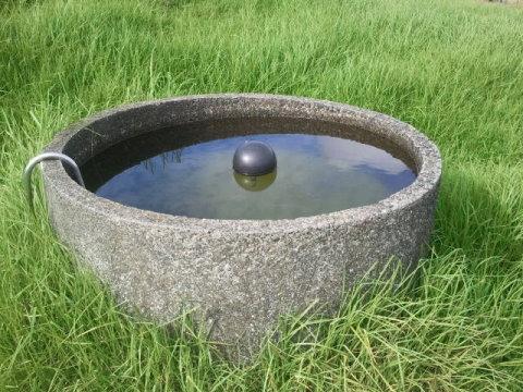 The anatomy of a water trough