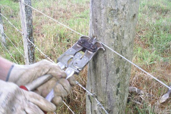 Fence Repair & Maintenance