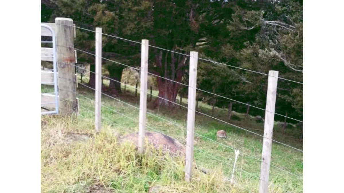 Why You Need a Fence on Your Lifestyle Block