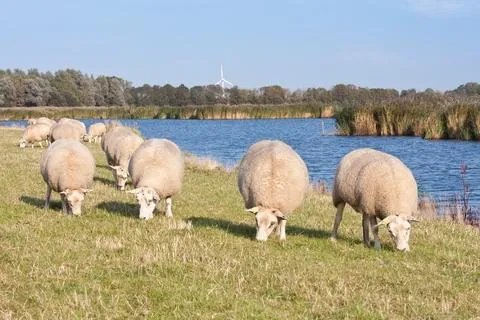 Farming Diary for March 2025