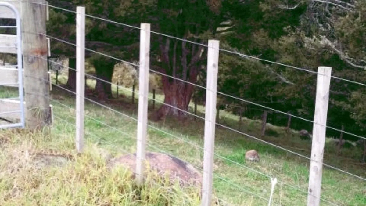 Fencing and the law