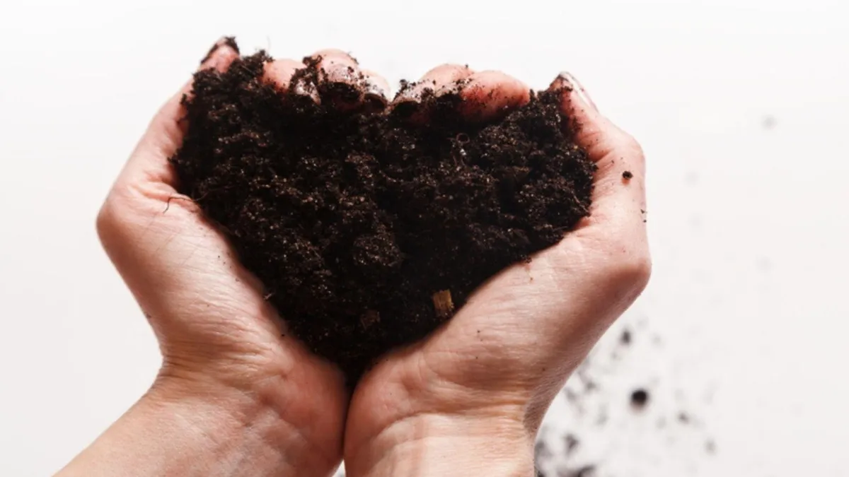 Life in the soil