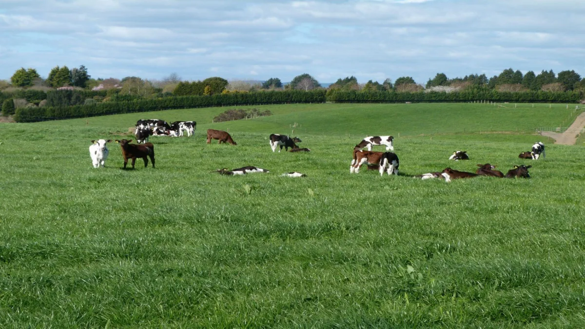 Worm control - Prevention is better than cure!