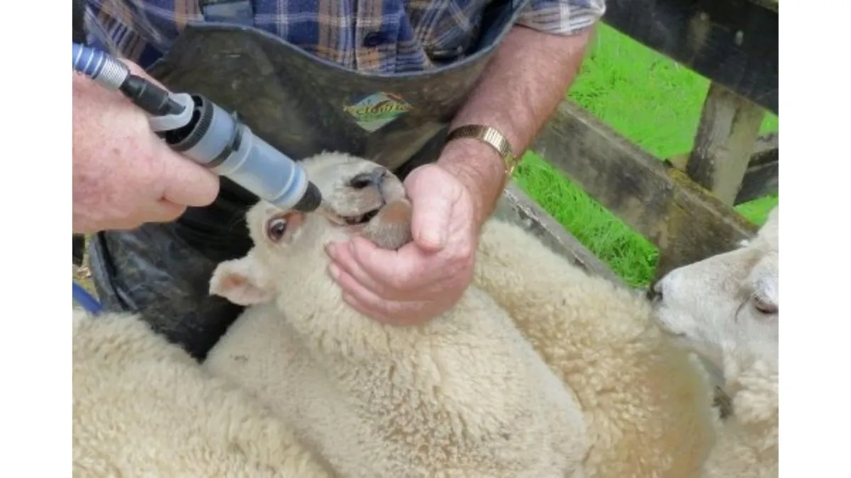 Drench resistance