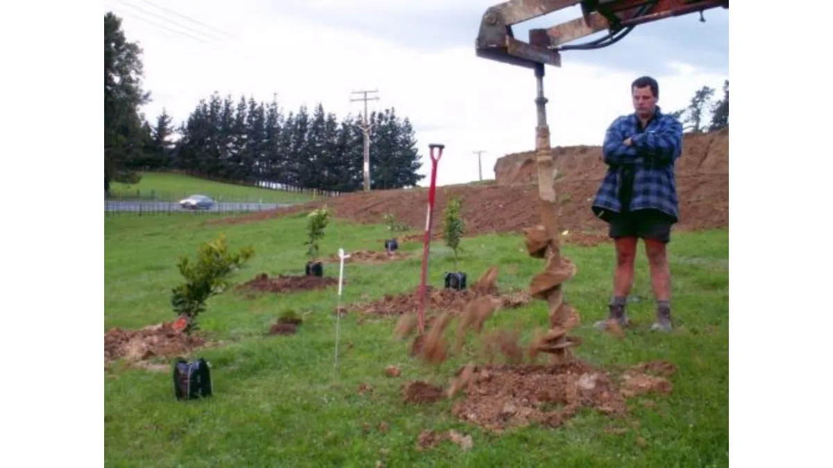 Planting your fruit (and nut) trees