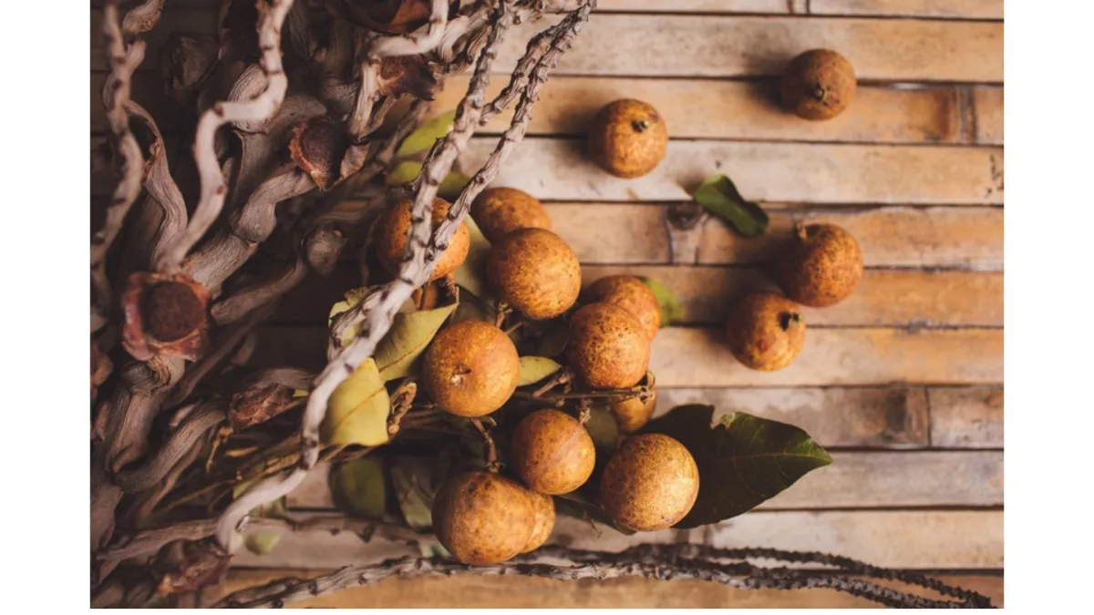 soap nuts on a wooden board