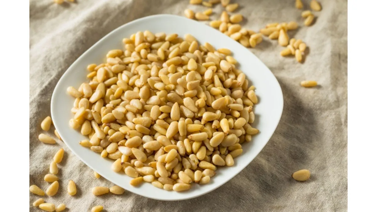 Growing Pine Nuts