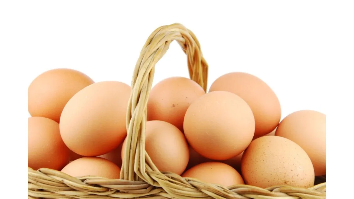 basket of eggs