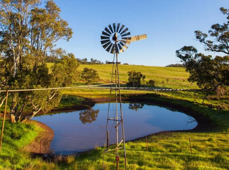 Finding and Diagnosing Leaks in Earth Dams