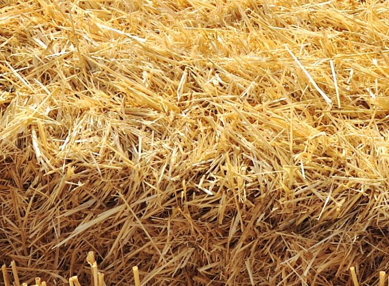 close up of a bale of hay