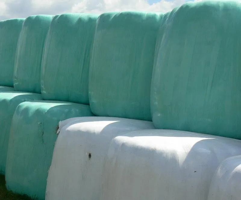 Balage - silage in the bag