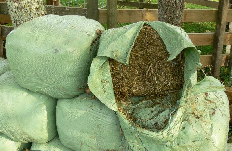 Wrapped Silage (balage) - key points