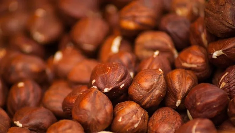 Your Backyard Fruit Bowl – Hazelnuts