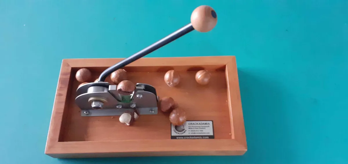 Your Backyard Fruit Bowl – Macadamias