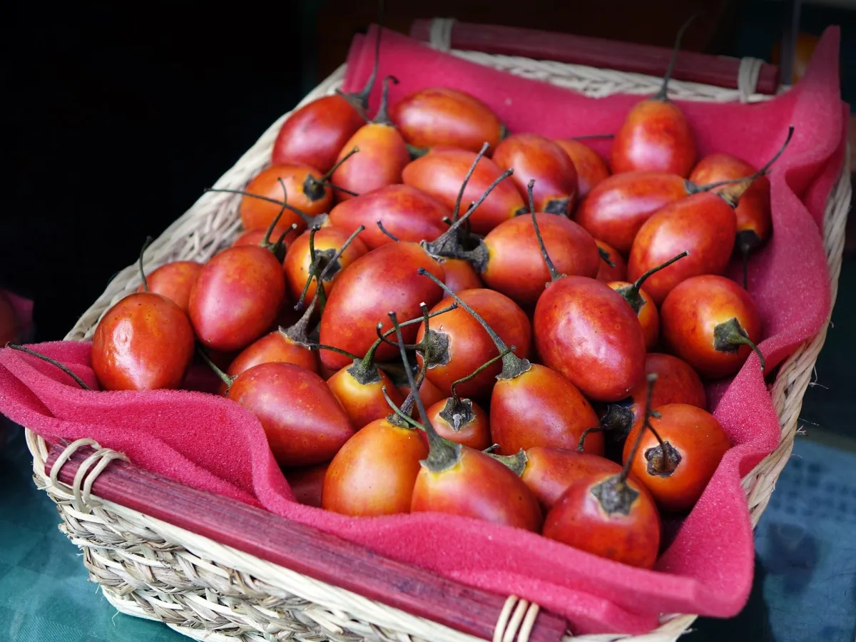 tamarillos in a basket