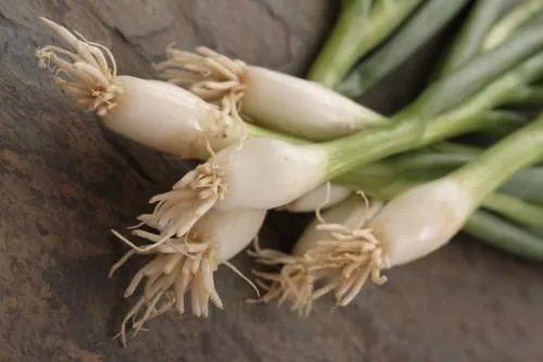 Green onions