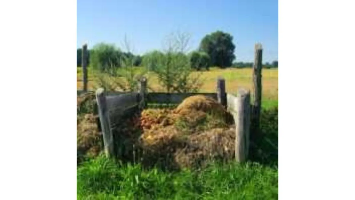 a compost heap in a garden