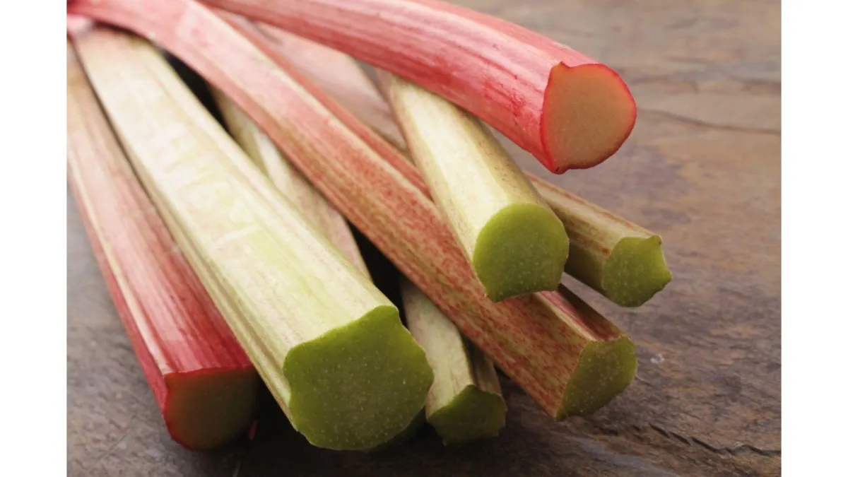 orange and green rhubarb
