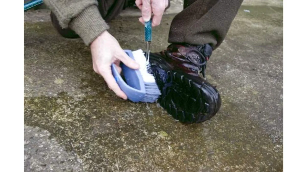 Biosecurity advice for lifestyle farmers from MPI