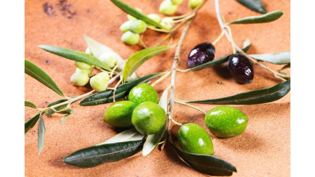 olives