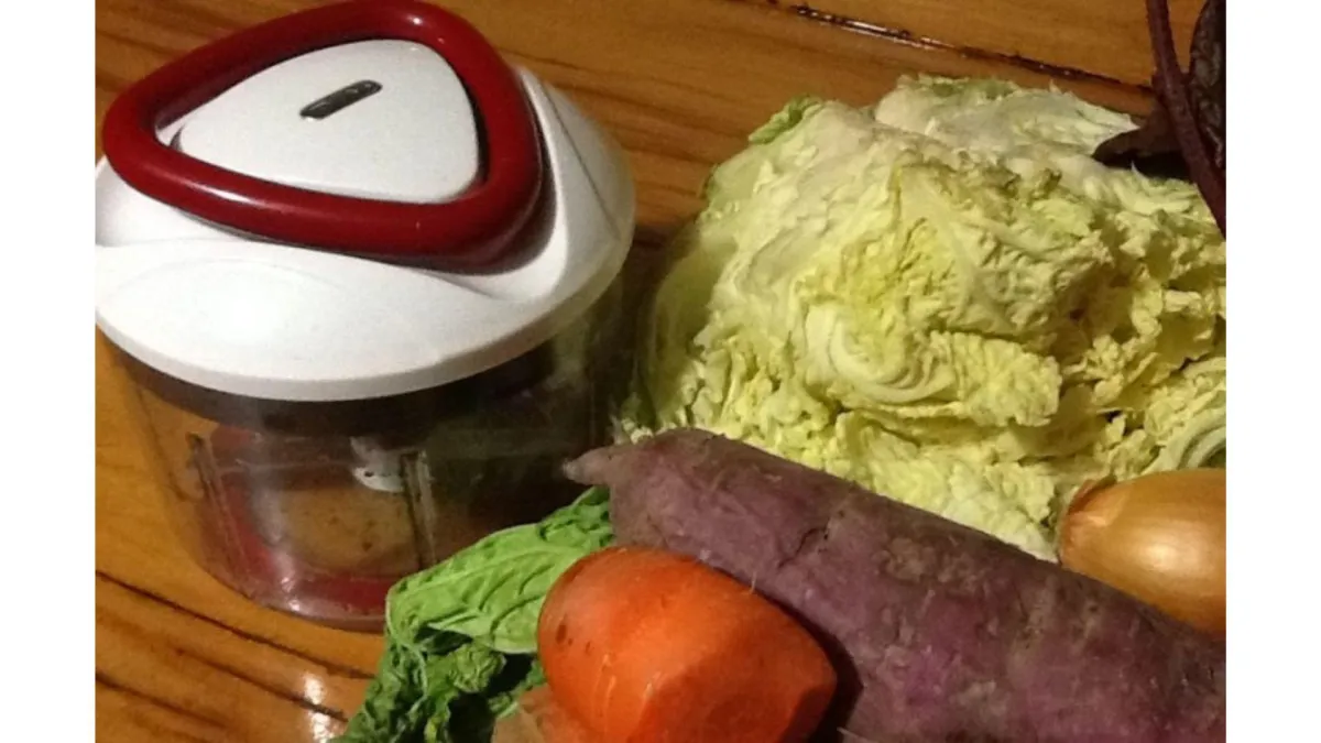 vegetable and juicer