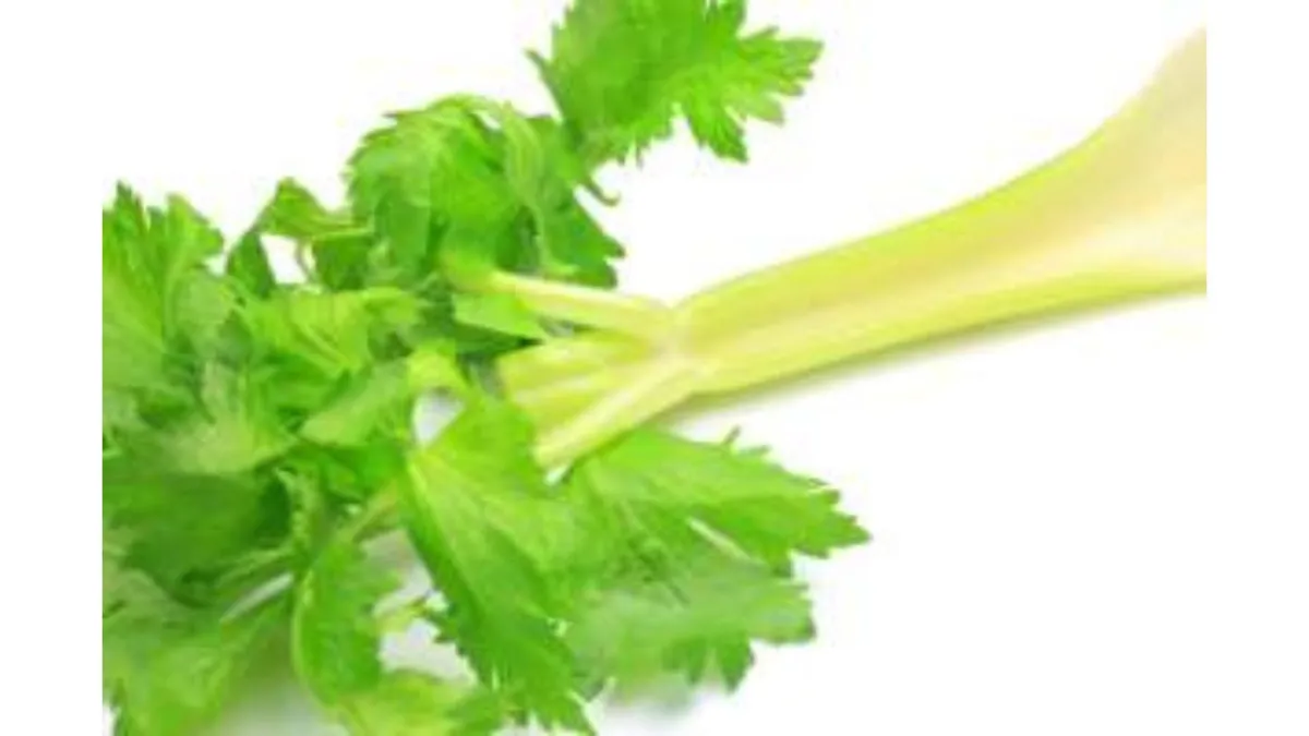 celery stalk