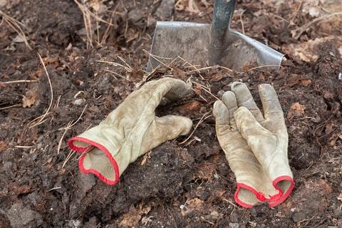 handgloves on a soil