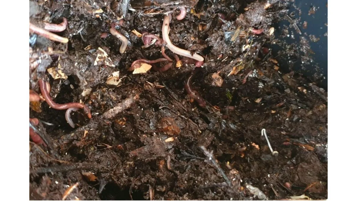 composting