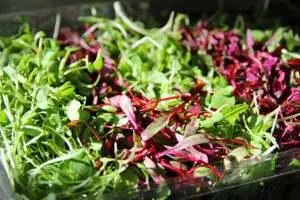 microgreens