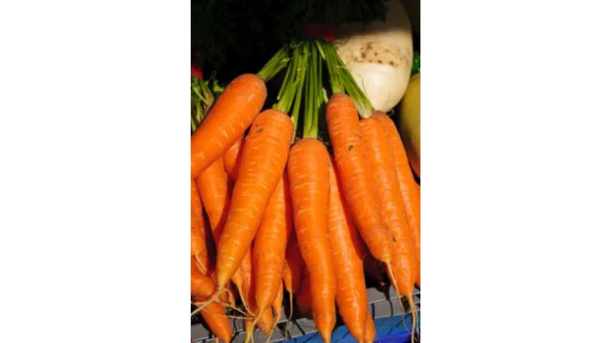 Carefree Carrots