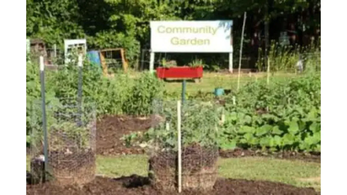 Community Garden