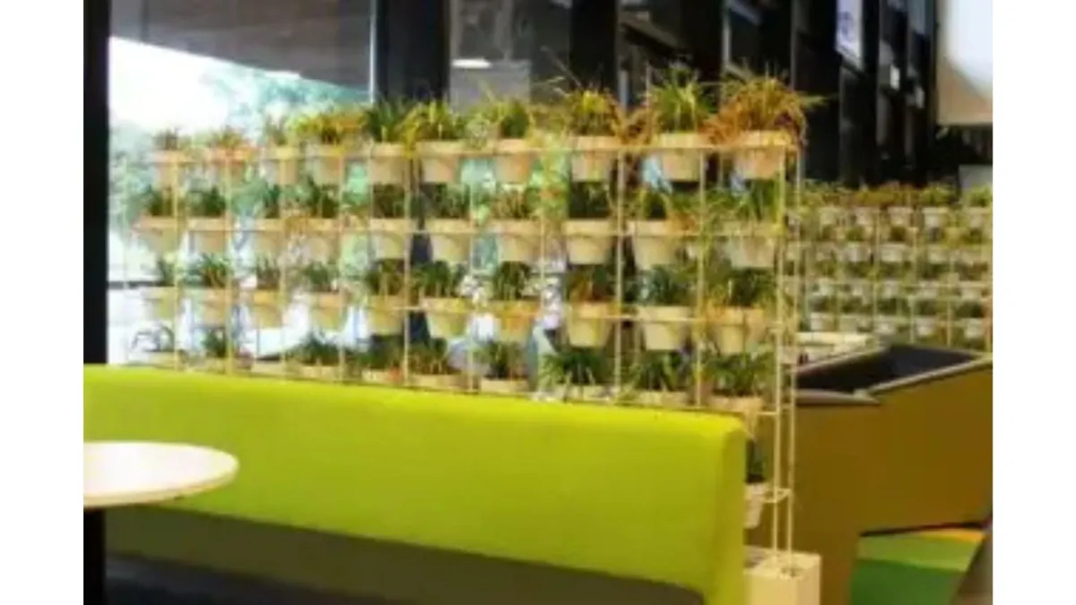 vertical gardening on growing plants